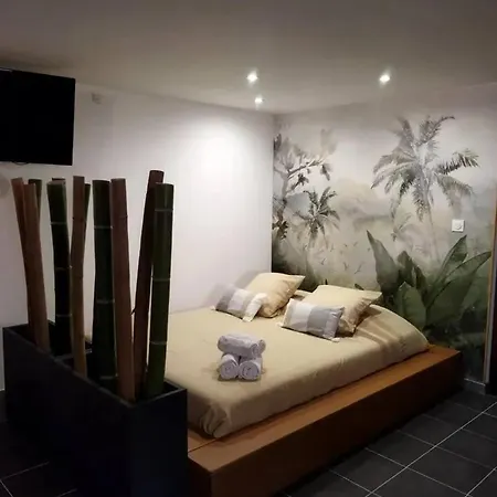 Romantique A Avec Jacuzzi - 35m² *