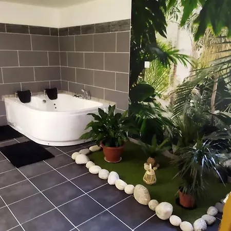 Romantique A Avec Jacuzzi - 35m² Apartment Baixas