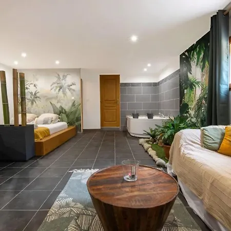 Apartment Romantique A Avec Jacuzzi 35m² *