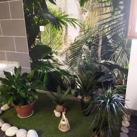 Apartment Romantique A Avec Jacuzzi - 35m²