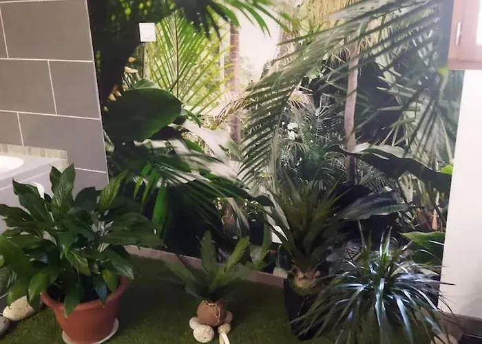 Daire Romantique A Avec Jacuzzi - 35m²